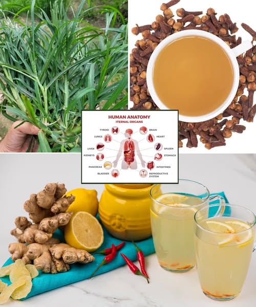 🔥27 Fast-Acting Natural Remedies for Common Health Issues You Need to Know Now!