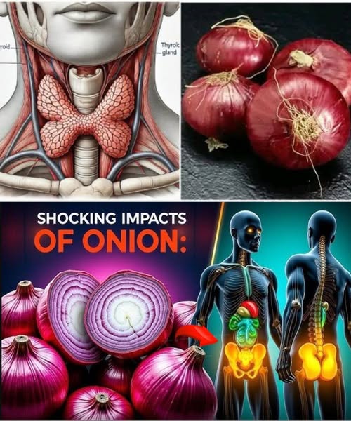 🌿 9 Surprising Health Benefits of Onions You Need to Know Today (Backed by Science!)