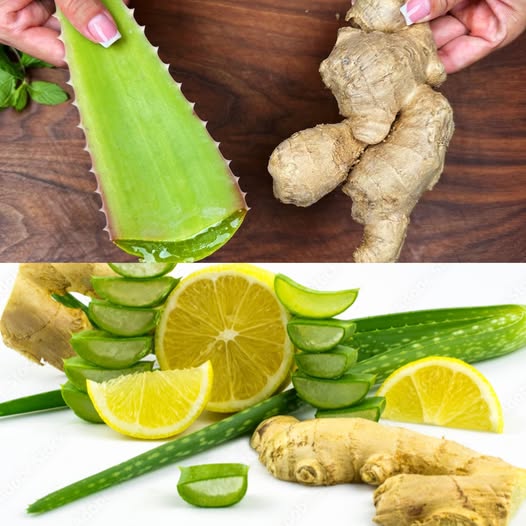 She’s 67 but Looks 35! The Secret? Natural Collagen with Aloe Vera – Discover How to Turn Back Time