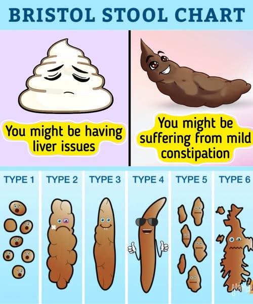 💩 What Your Poop Reveals About Your Health: 13 Vital Clues You Can’t Ignore