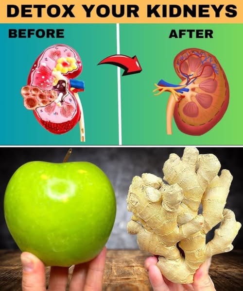 1 Natural Method to Support Your Kidney, Liver, and Lungs—Boost Your Body’s Vital Organs Today